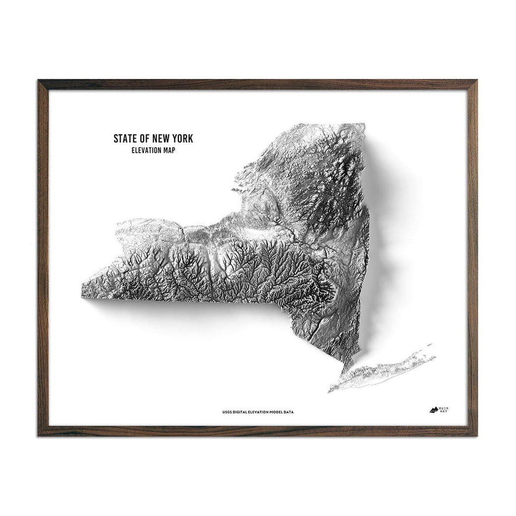 New York Elevation Map - No Frame