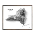New York Elevation Map - No Frame