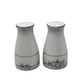 Noritake tarkington Salt & Pepper Shaker Set