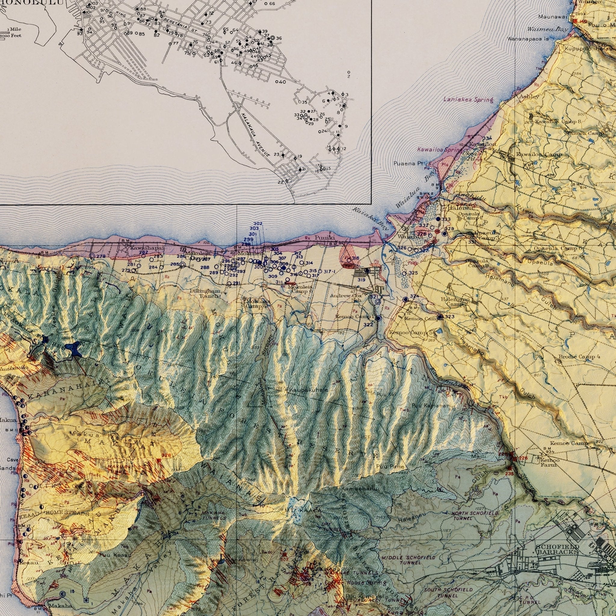 Oahu 1938 Shaded Relief Map - No Frame