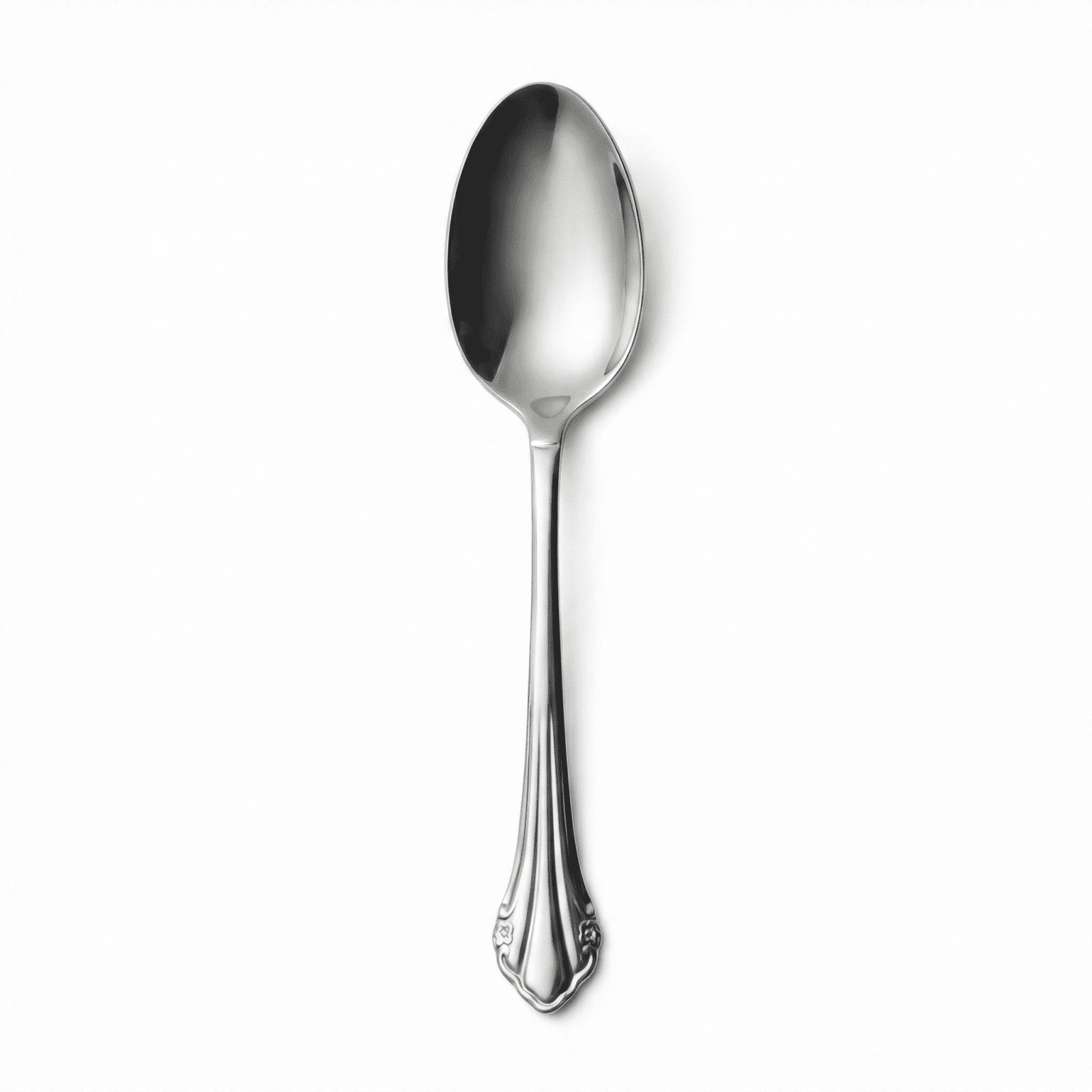 Oneida Stainless Bittersweet Serving Spoon