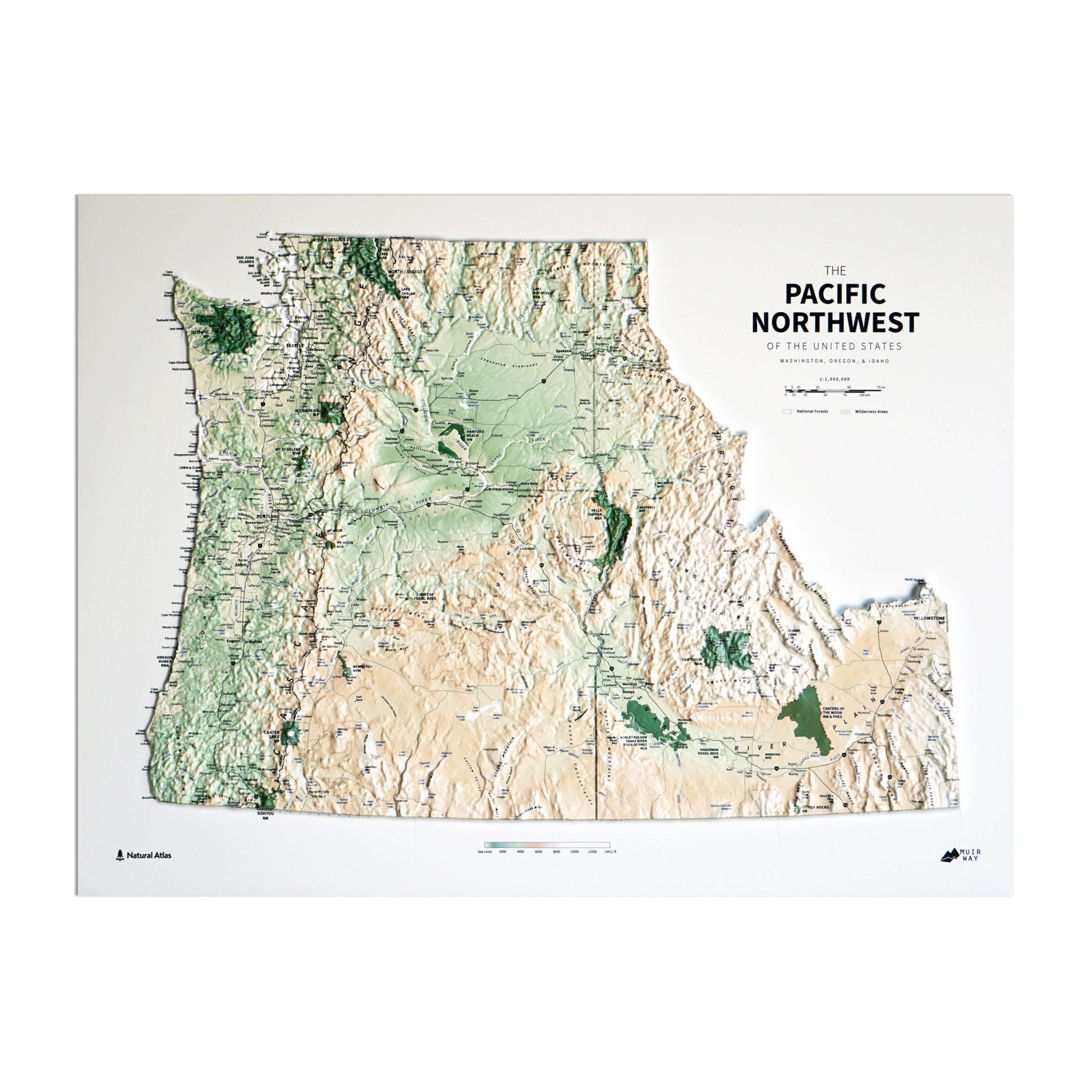 Pacific Northwest 3D Raised Relief Map - No Frame