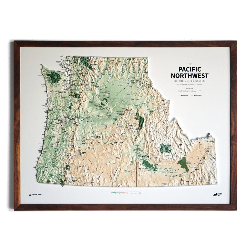 Pacific Northwest 3D Raised Relief Map - No Frame