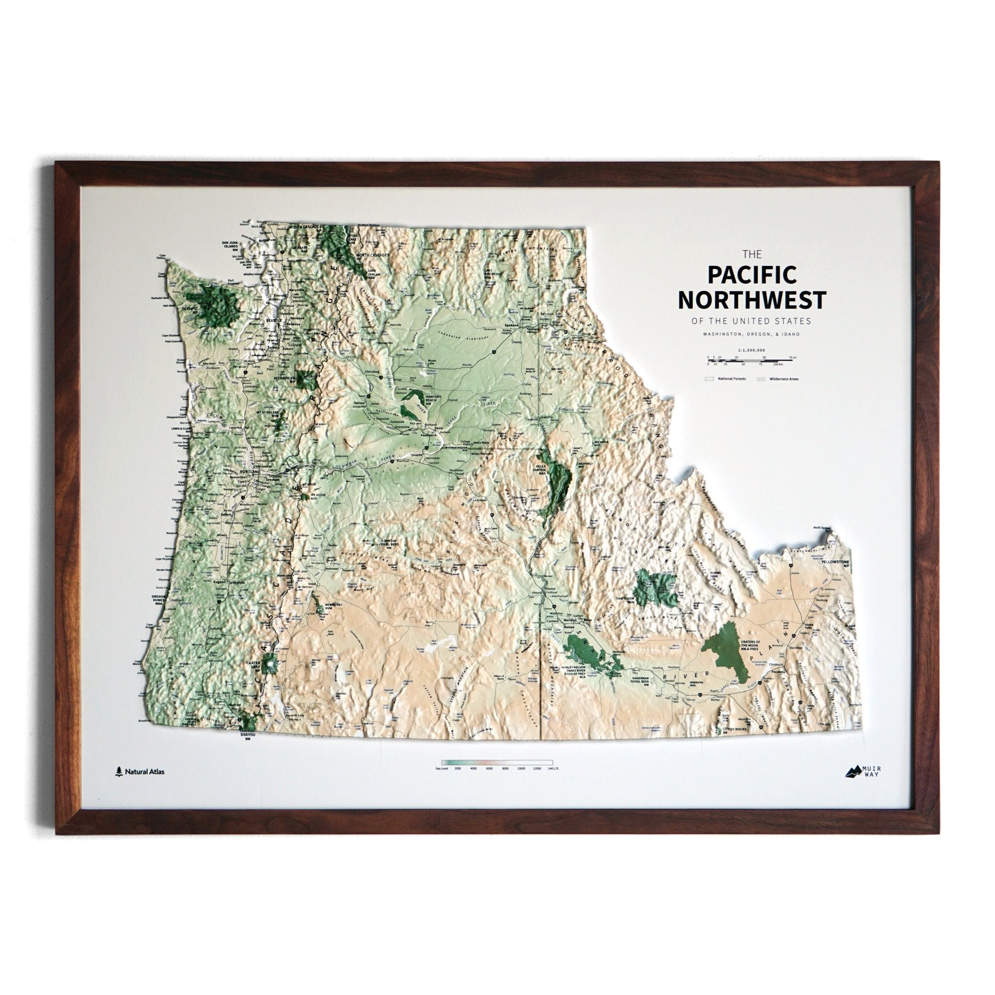 Pacific Northwest 3D Raised Relief Map - No Frame