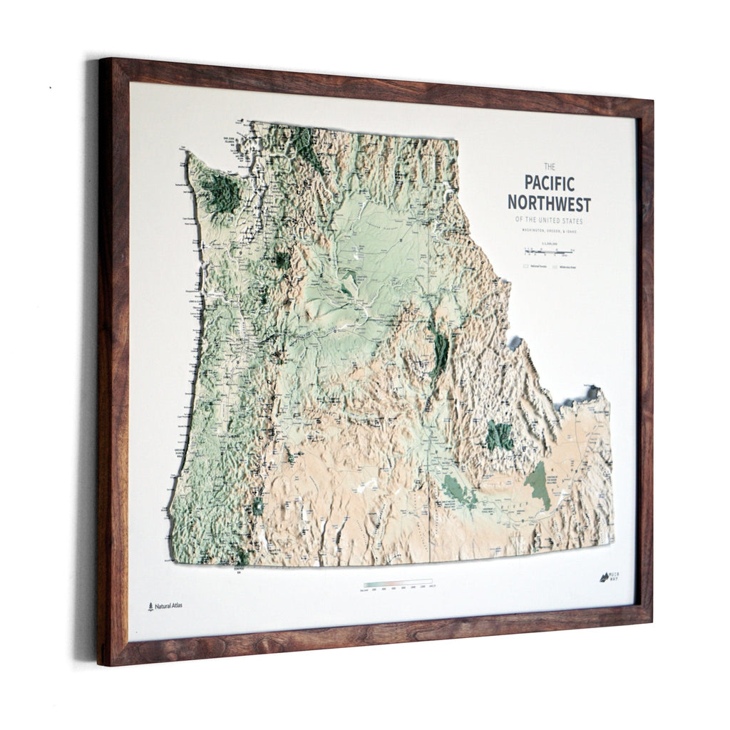 Pacific Northwest 3D Raised Relief Map - No Frame