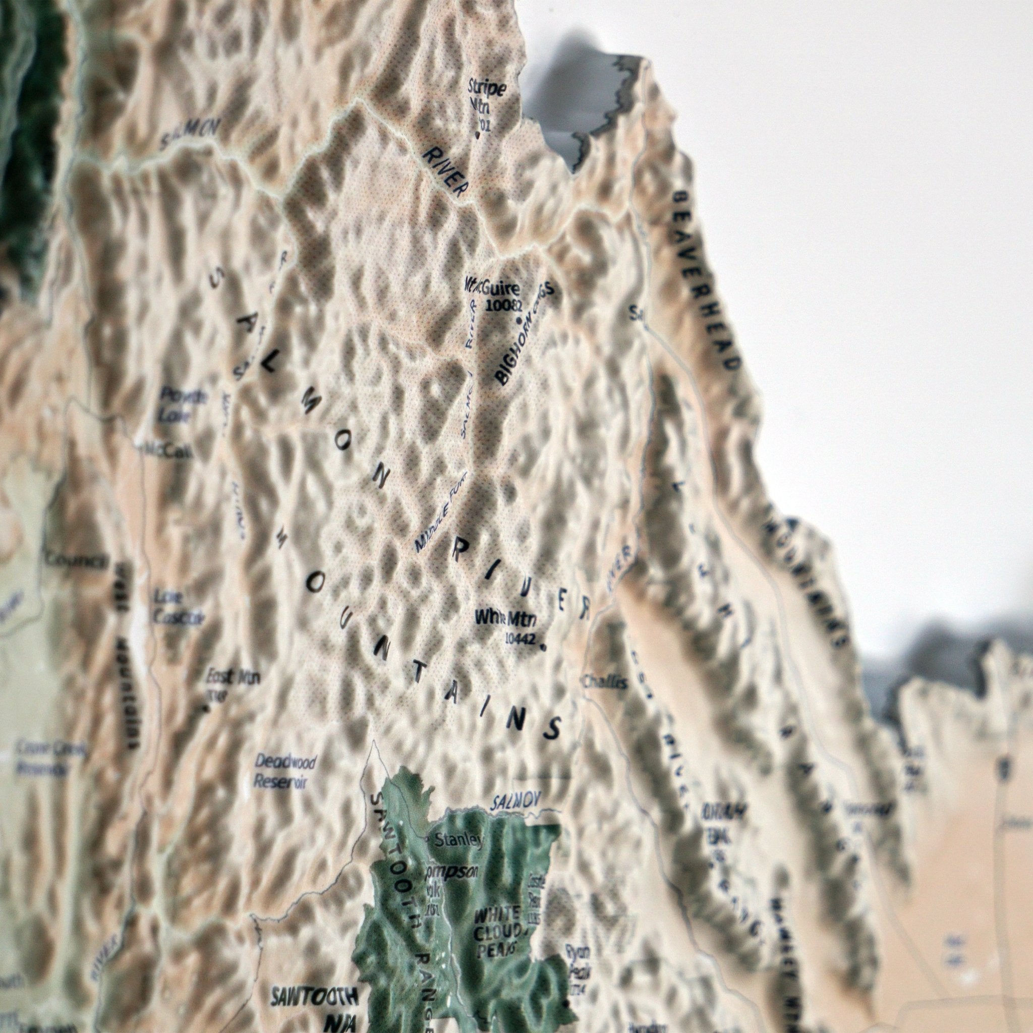 Pacific Northwest 3D Raised Relief Map - No Frame