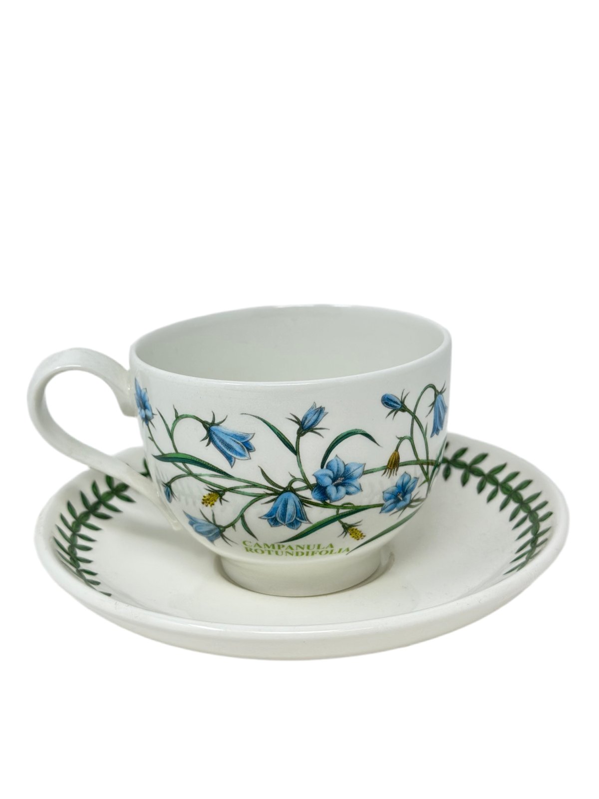 Portmeirion Botanic Garden Campanula Rotundifolia Cup/Saucer