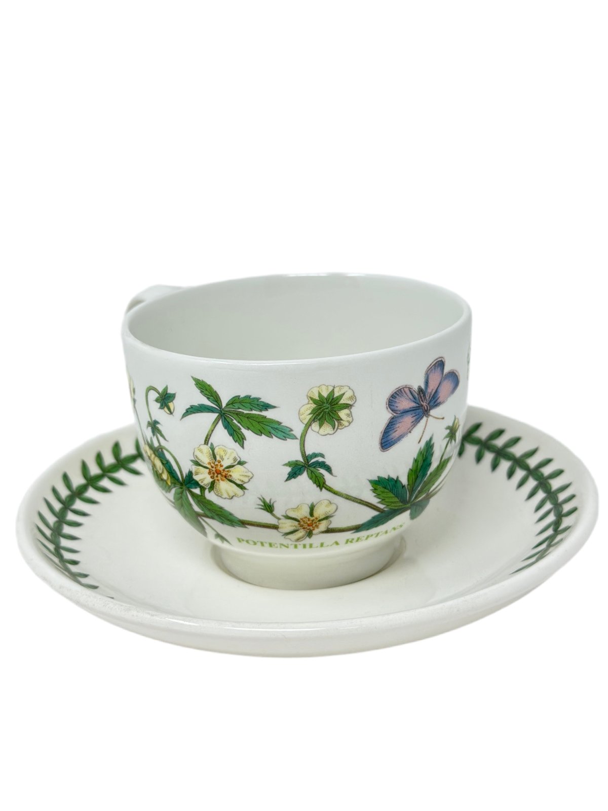 Portmeirion Botanic Garden Potentilla Reptans Cup/Saucer