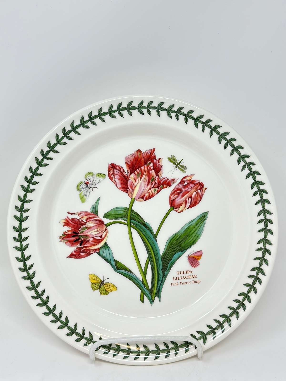 Portmeirion Botanic Garden Tulipa Liliaceae (Pink Parrot Tulip) Plate