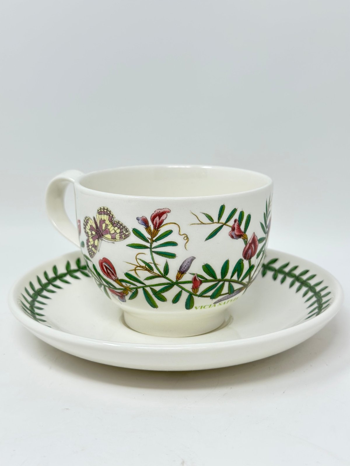 Portmeirion Botanic Garden Vicia Satvia Cup/Saucer