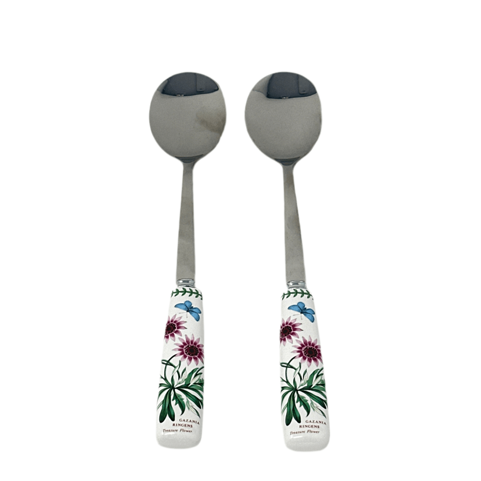 Portmeirion Gazania Ringens Salad Set