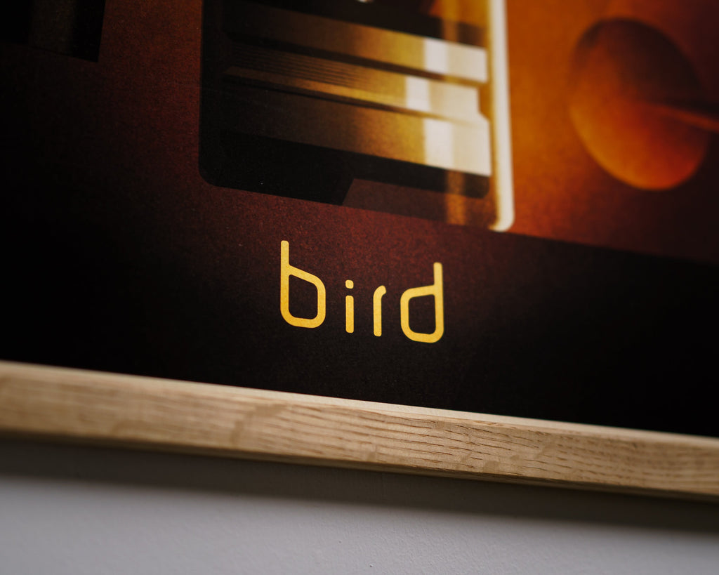 BIRD Giclée Print