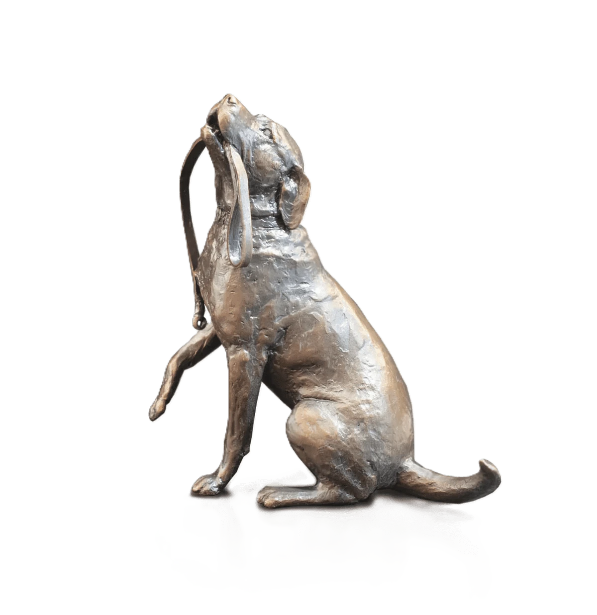 Richard Cooper Limited Edition Bronze Labrador with Lead Figurine