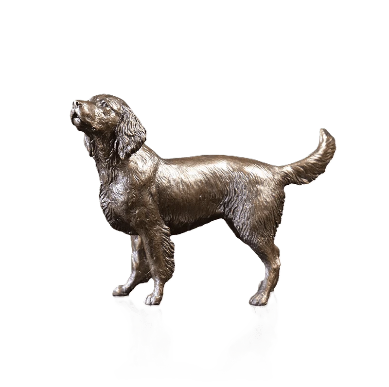 Richard Cooper Limited Edition Bronze Medium Springer Spaniel Figurine