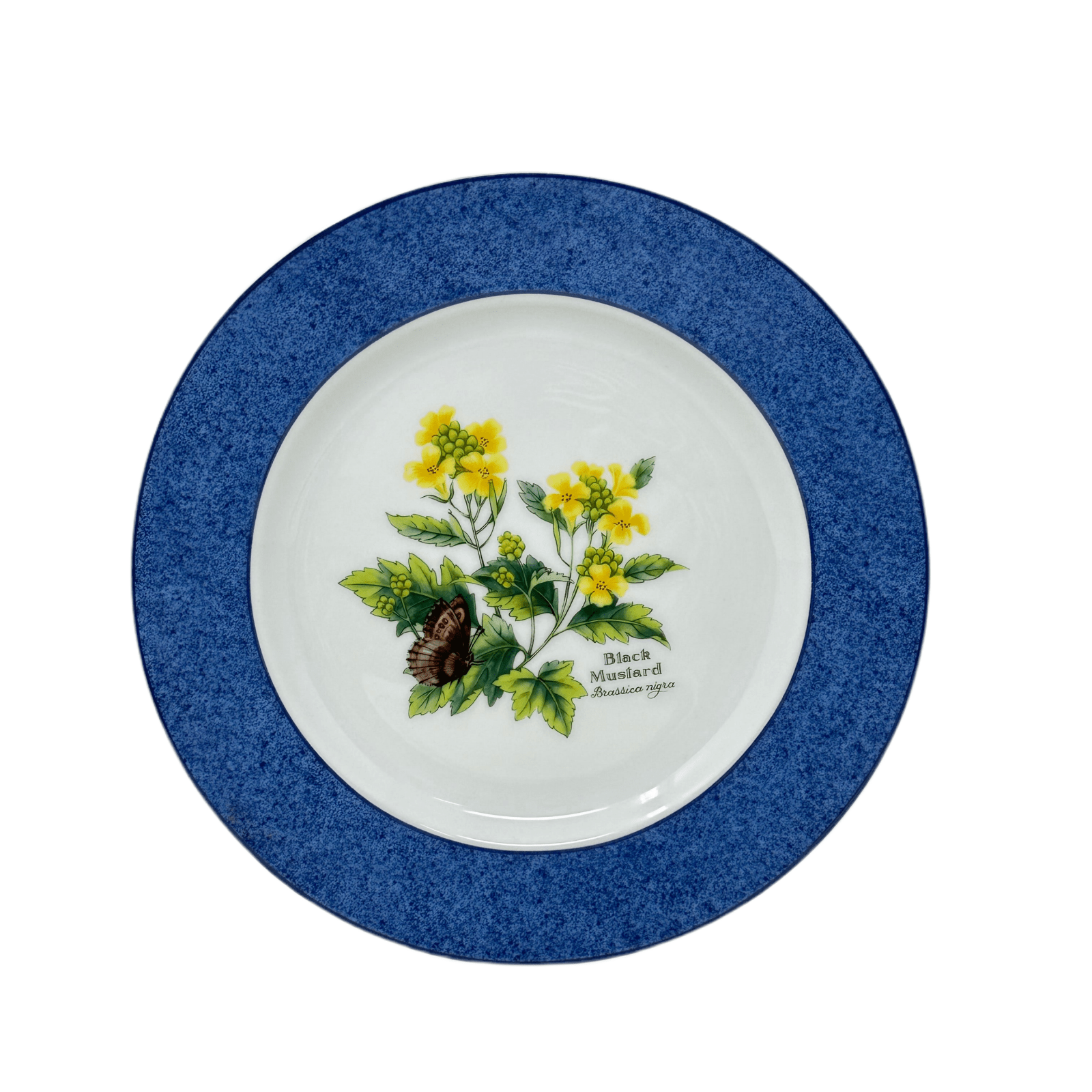 Royal Worcester Herbs Salad Plate (Black Mustard Brassica Nigra)