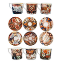 Royal Crown Derby The Curators Collection Cups & Saucers : Set of 6