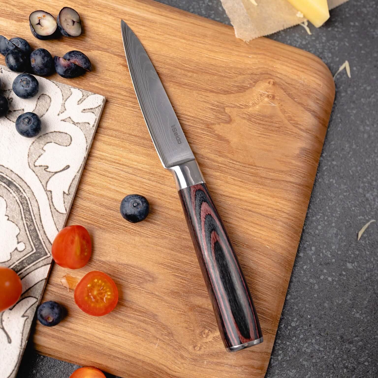5-Piece Japanese Master Chef Knife Set