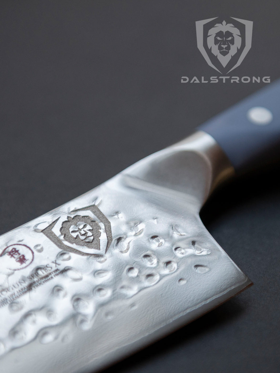 Chef's Knife 8" | Light Blue Matte ABS Handle | Shogun Series | X | Dalstrong ©