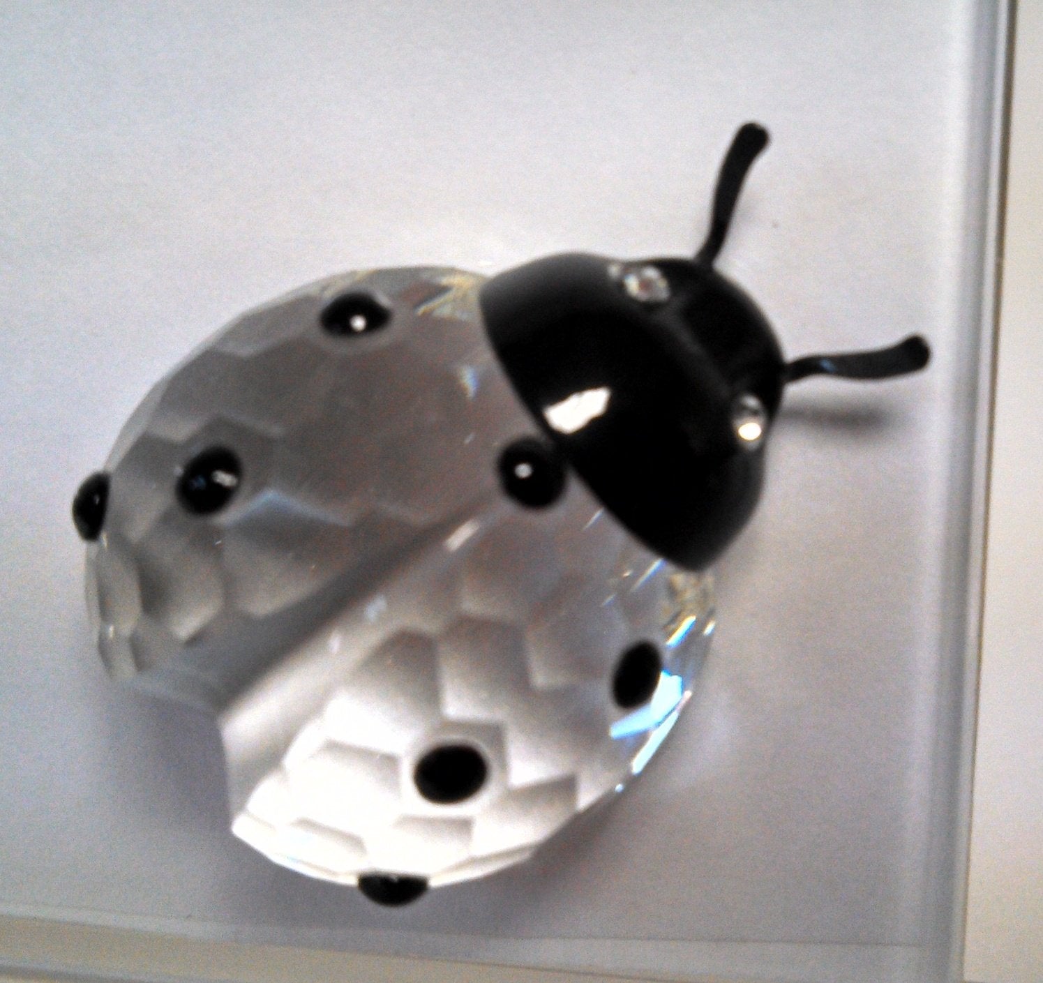 SWAROVSKI Crystal LADYBUG PICTURE FRAME