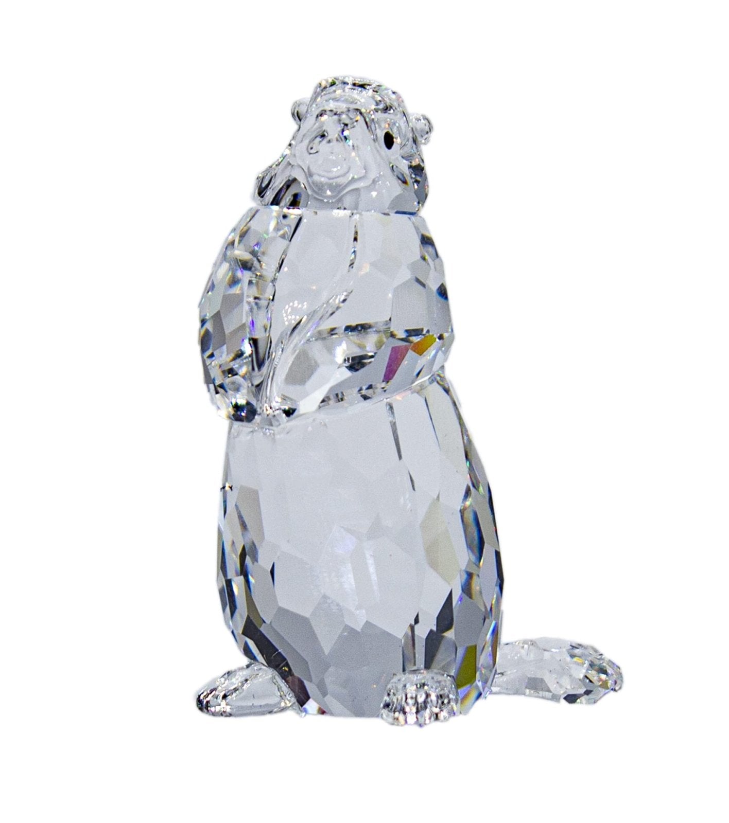SWAROVSKI Crystal MARMOT