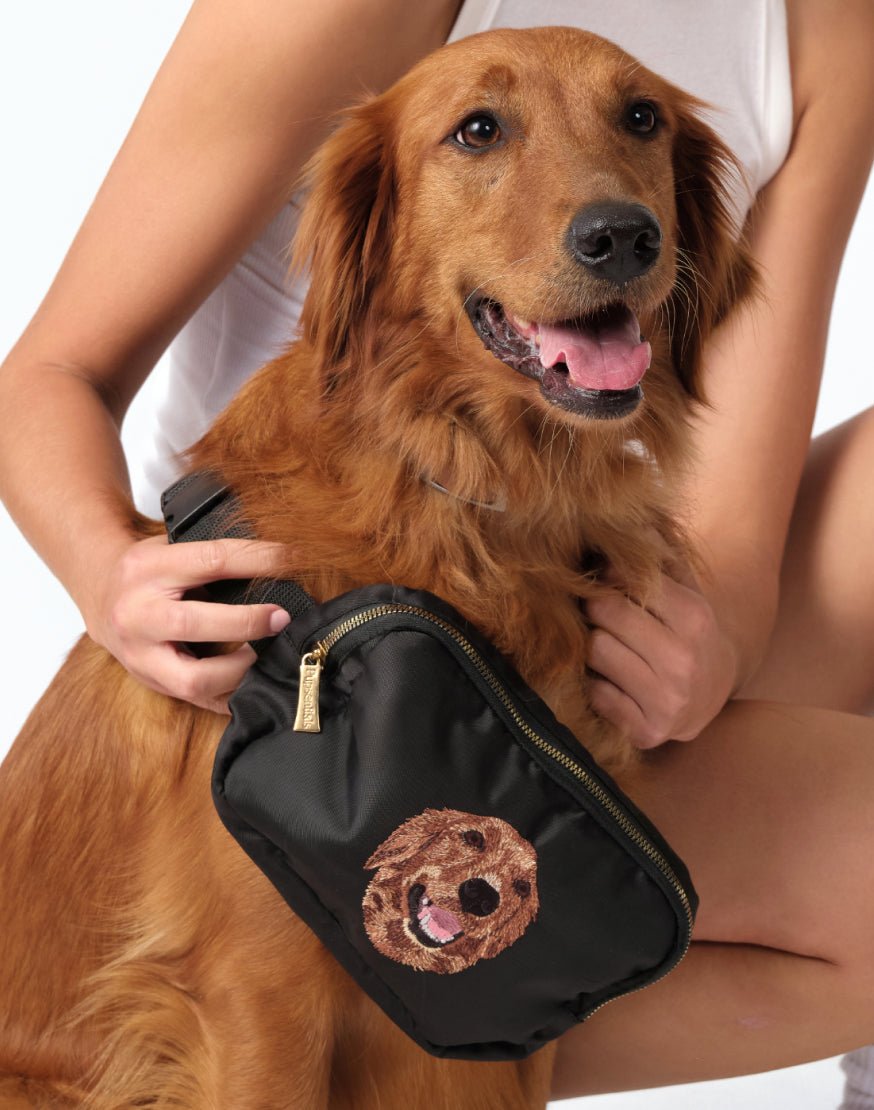 The Belt Bag