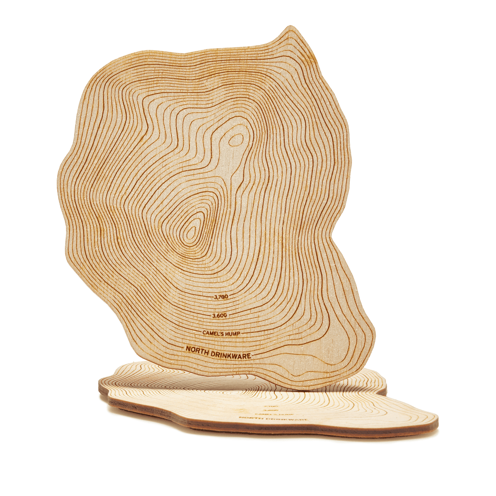The Camels Hump Coaster Set