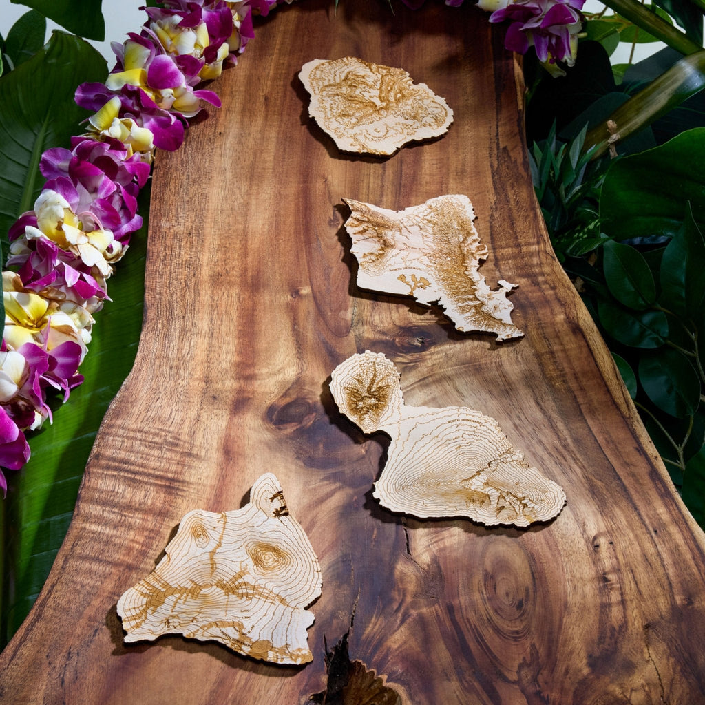 The Hawaiian Islands Coaster Set