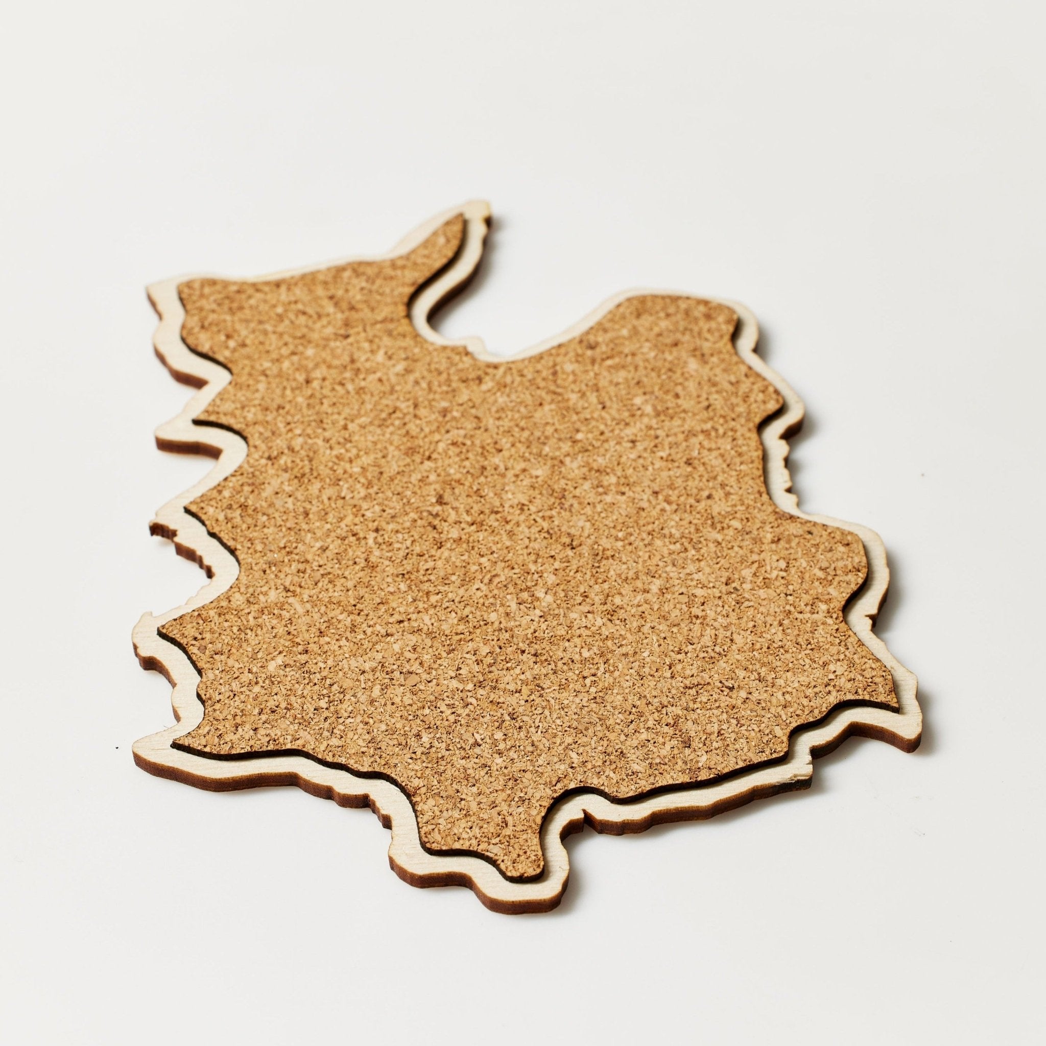 The Mt. Katahdin Coaster Set