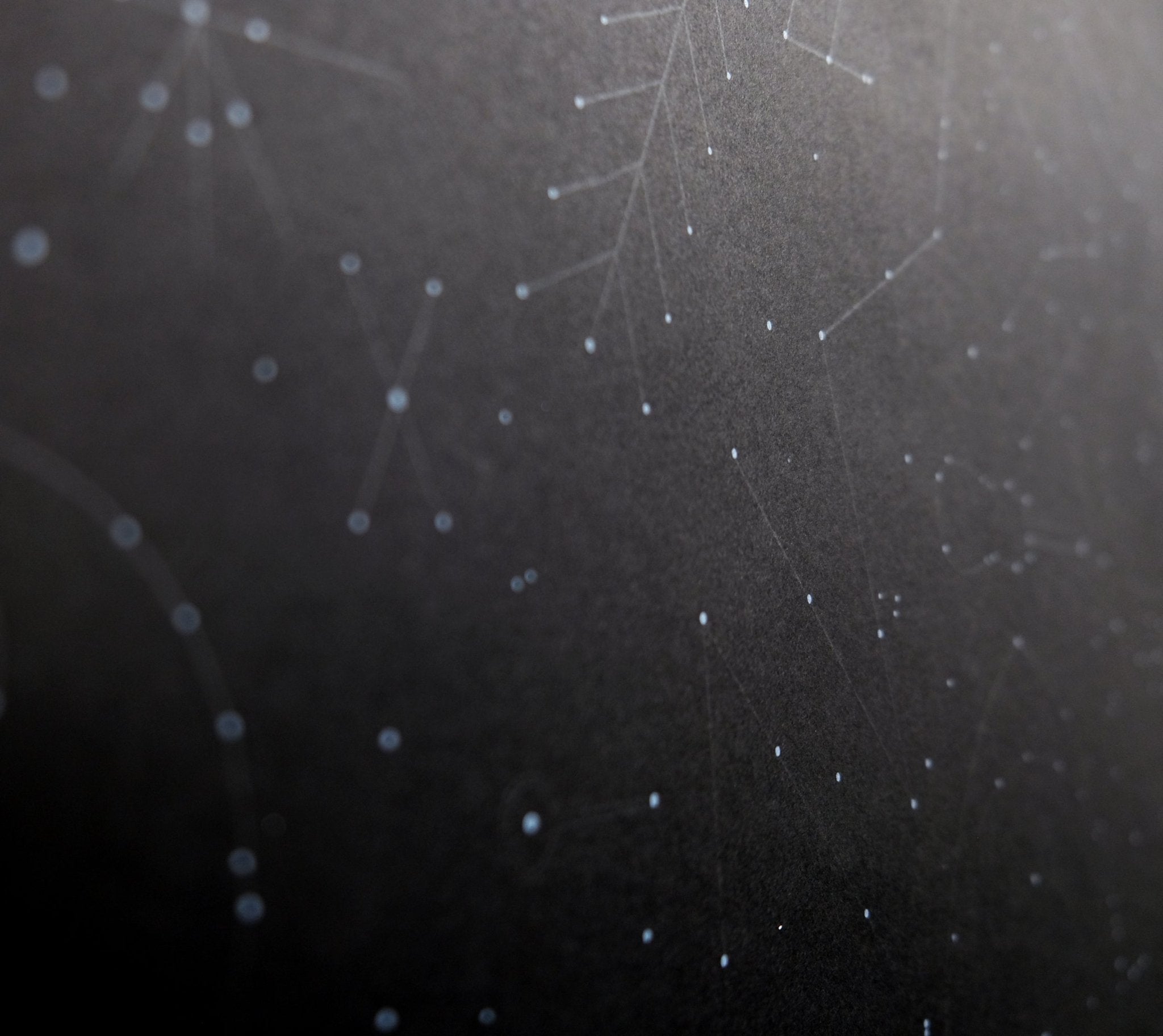 The MWJ Constellation Gift Wrap