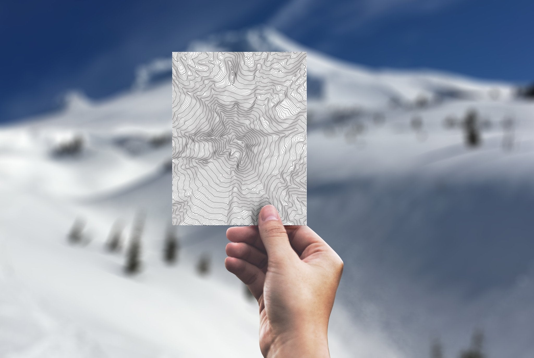 The Topo Gift Note Card