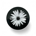 Wedgwood Bloomers Salad Plate