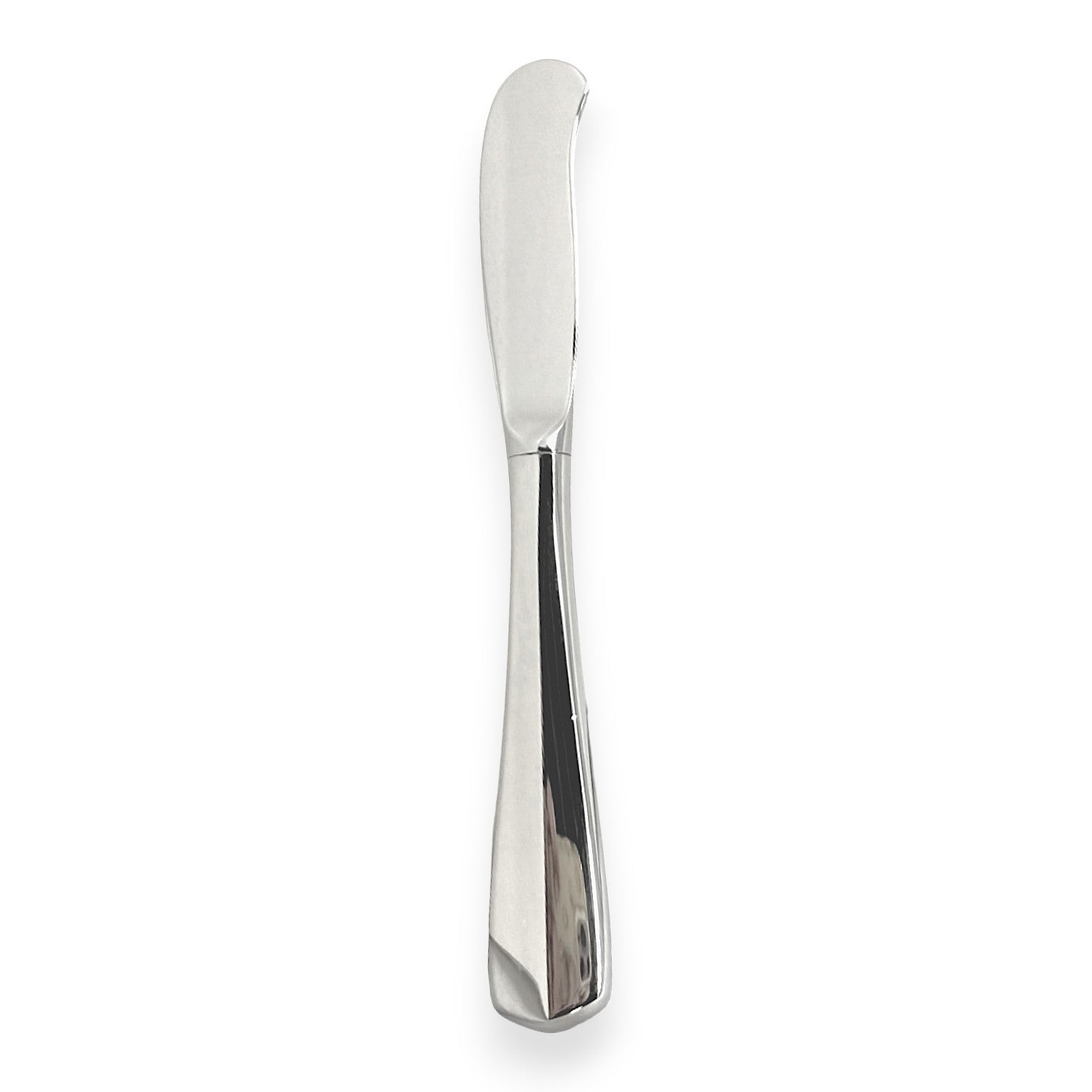 Oneida Equator Stainless Butter Spreader